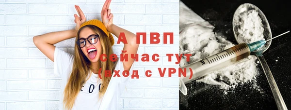 стаф Коряжма
