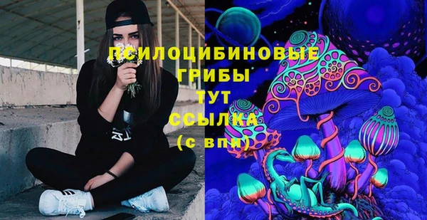 стаф Коряжма