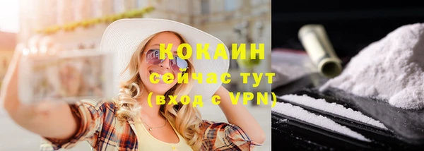 стаф Коряжма