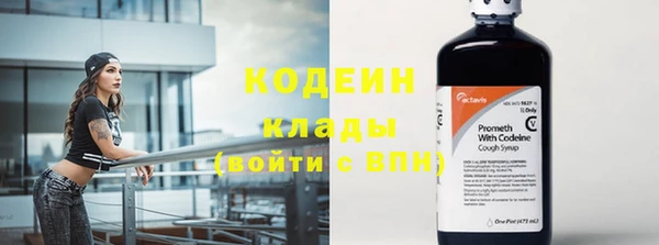 стаф Коряжма