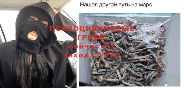 твердый Костерёво