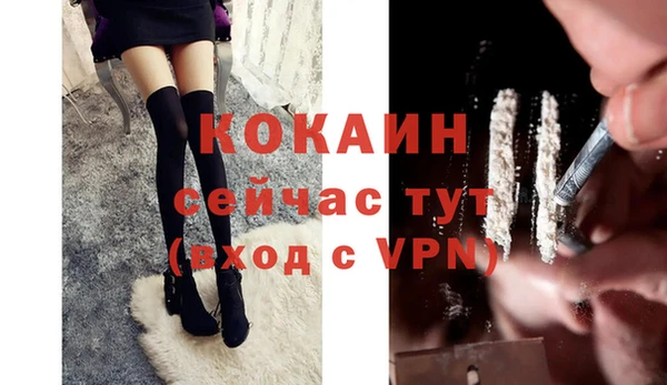 стаф Коряжма