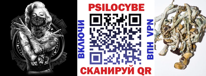 Купить  Копейск  Галлюциногенные грибы мицелий 